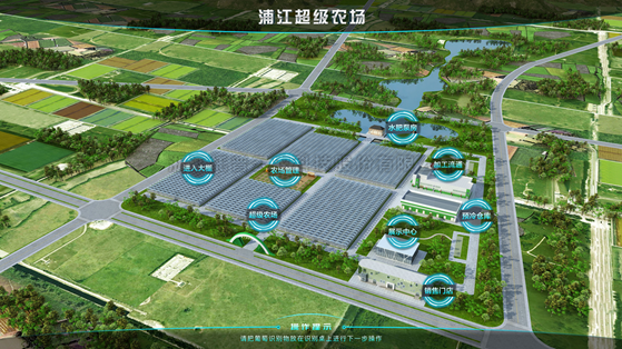 浦江超级农场：科技赋能让种植更高效