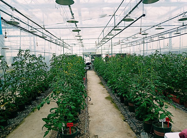 萧山现代农业示范园区 萧山现代农业示范园区