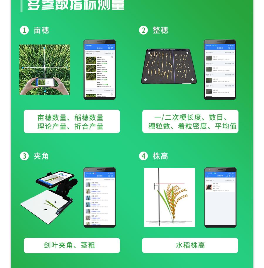 水稻表型检测系统